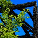 Reflex'82 23 Harry Sigmund